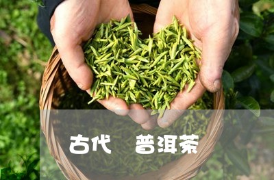 古代 普洱茶/2023042916729